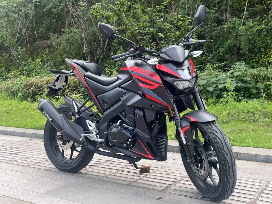 Мотоцикл PROMAX MT300